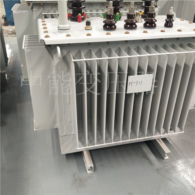 阿拉善右S20-500KVA油浸式变压器